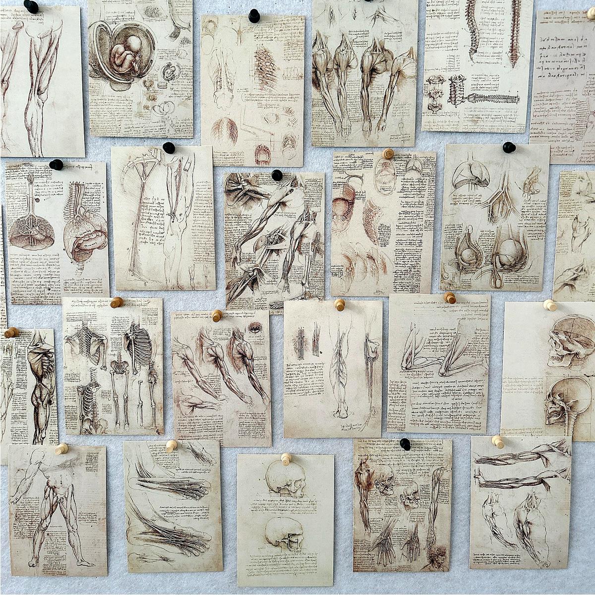 30PCS Classic Leonardo da Vinc - Collectible Vintage Greeting Cards 评论和价格