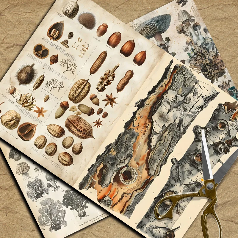 New Vintage Material Papers DI - Vintage Things Collection 评论和价格